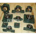 Hebei Hailan Bearing Manufacture Co., Ltd/Bearing Housing